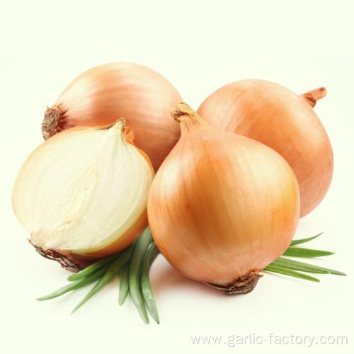 Exporters fresh market prices yellow onion